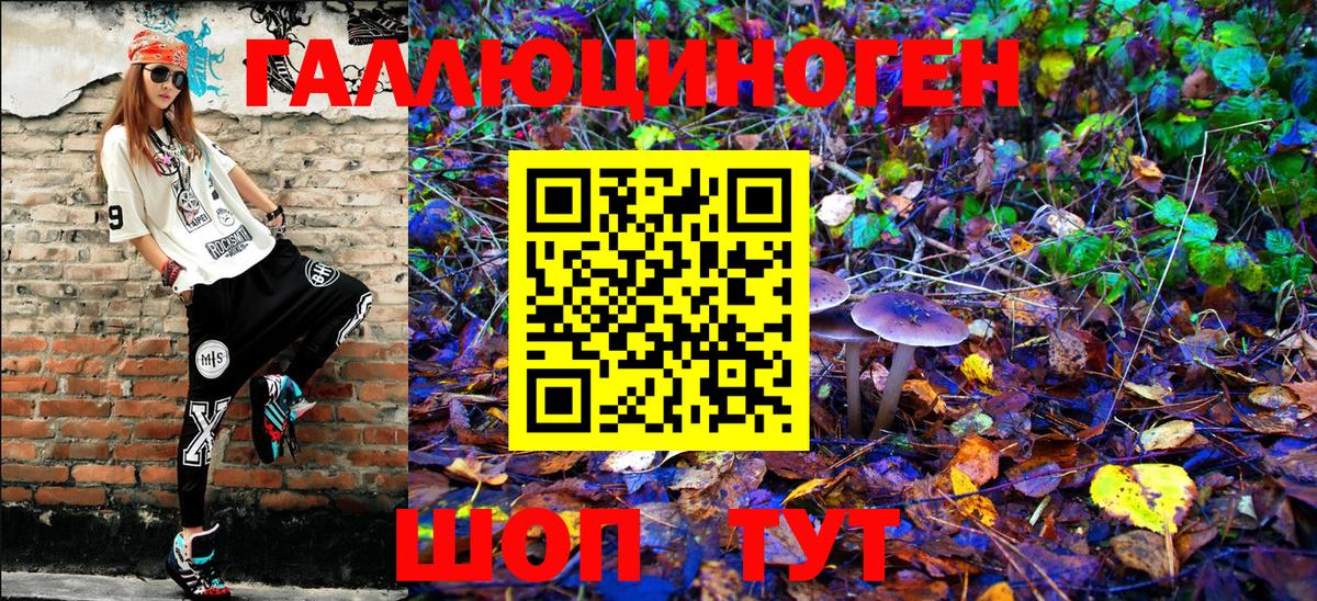 Псилоцибиновые грибы Psilocybe Тольятти
