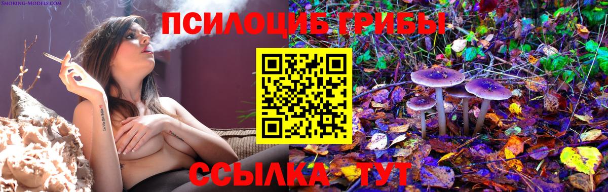 Тольятти  Псилоцибиновые грибы MAGIC MUSHROOMS  Вход с VPN 
